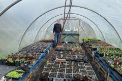 Frank-in-the-Polytunnel-April-23