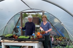 Poly-Tunnel