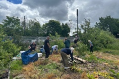 Tidy-Up-day-31-May-25-clearing-a-negelcted-plot