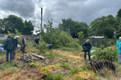 Tidy-Up-day-31-May-25-clearing-a-plot