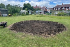 Tidy-Up-day-31-May-25-from-ash-heap-to-sunflower-ready